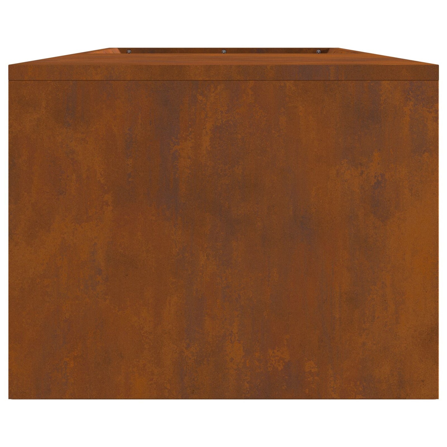 Ildsted med Vedlagring 160x45x35 cm Værbestandig Stål
